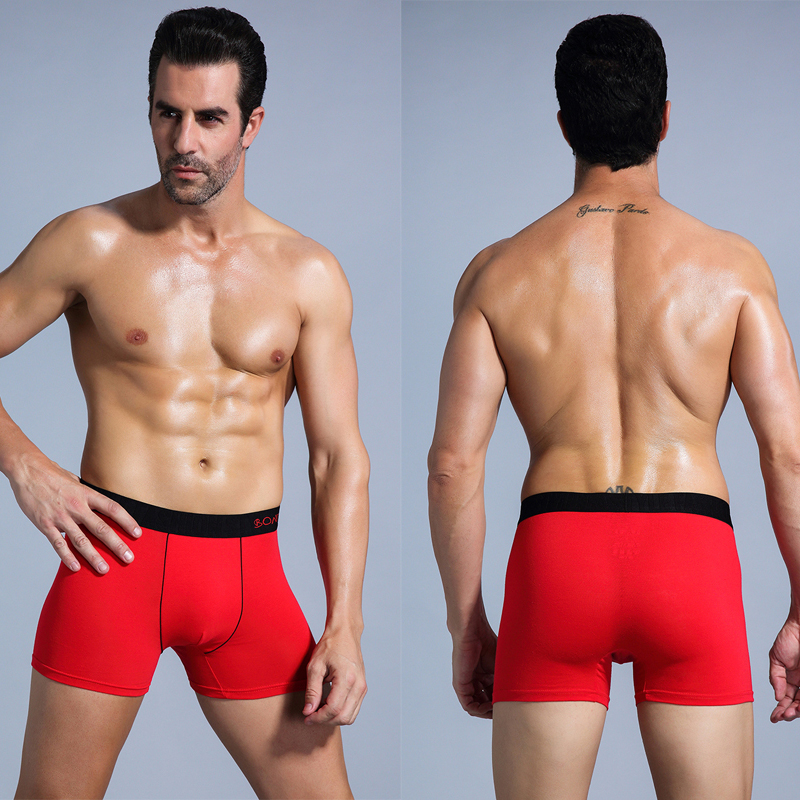 6pcs White Men Panties Cotton  - Boxer Brief Pack Cotton reseña y precio