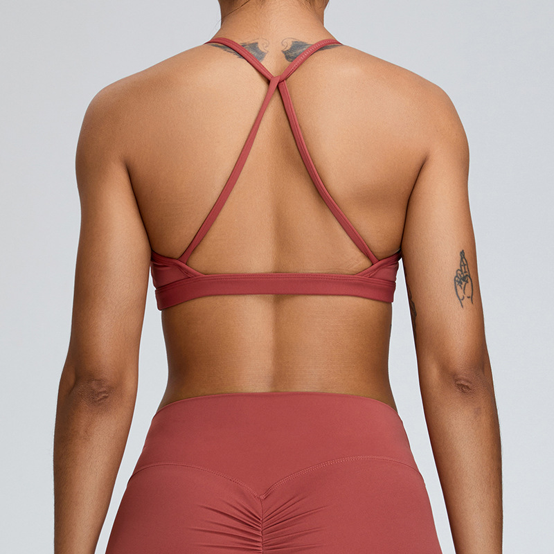 Seamless Sports Bra Women Unde - Quick Dry Underwear reseña y precio
