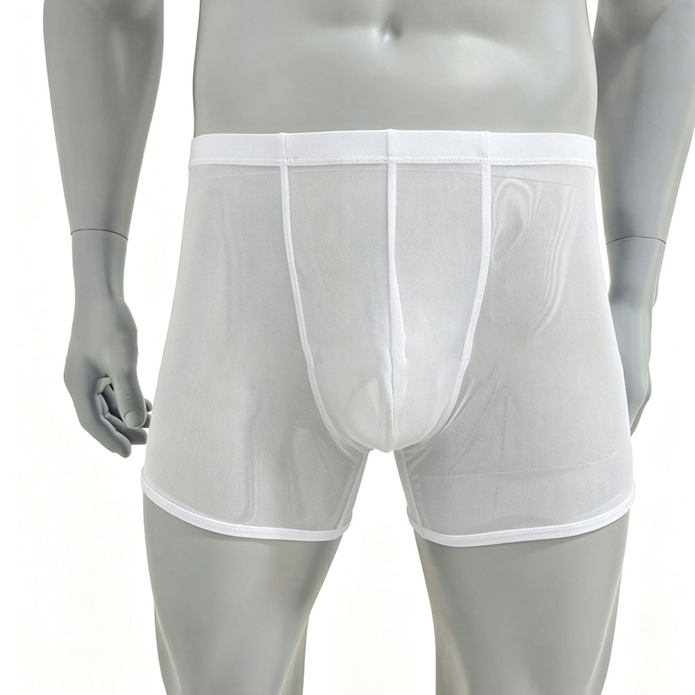 Men Mesh See-through Ultra-thi - Long Leg Trunk Men reseña y precio