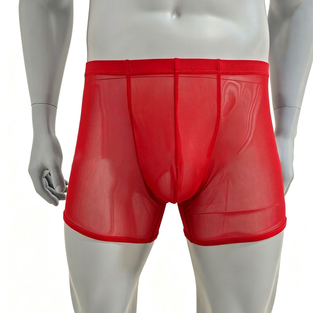 Men Mesh See-through Ultra-thi - Long Leg Trunk Men reseña y precio