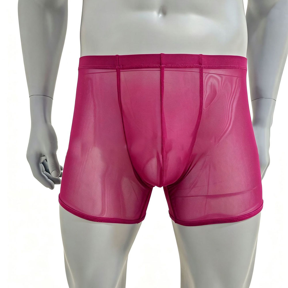 Men Mesh See-through Ultra-thi - Long Leg Trunk Men reseña y precio