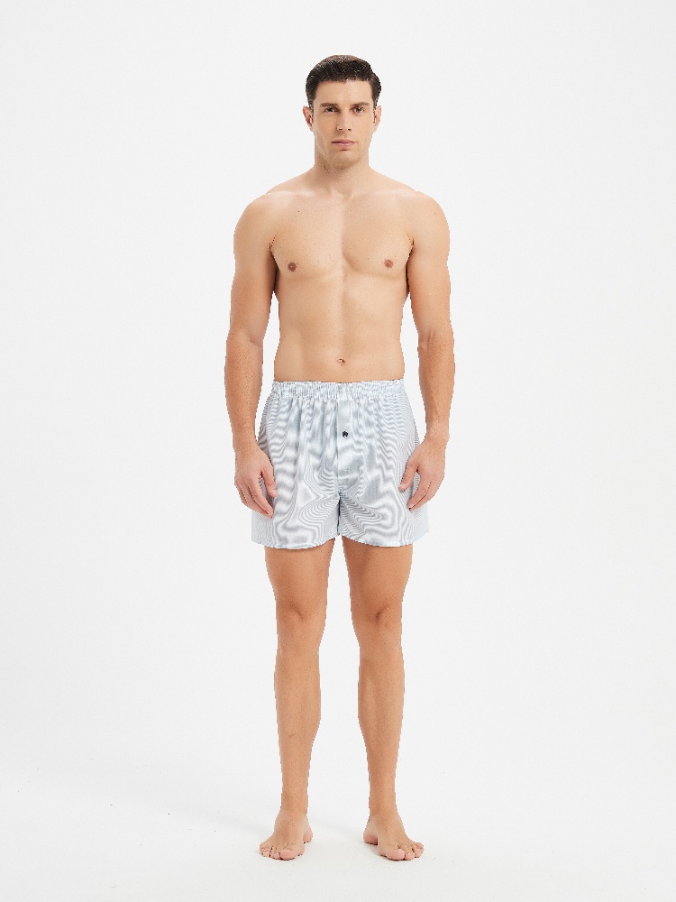 10pcs Men's Underwear Spring/S - Boxer Brief Pack Cotton reseña y precio